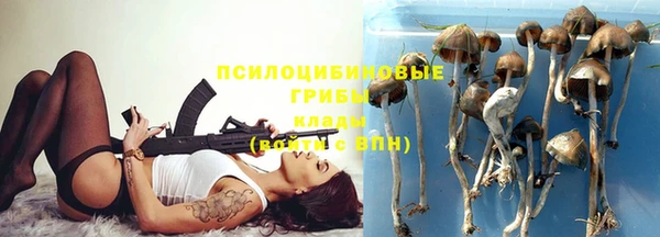 эйфоретик Алзамай
