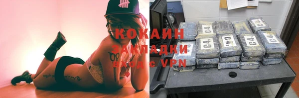 дживик Алексин