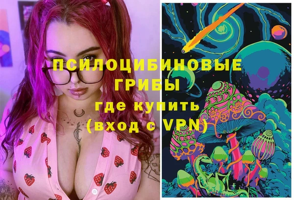 дживик Алексин